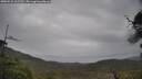 ./images/calvert/fitz-hugh-hecate/20250525/fitz-hugh-hecate20250525_165510M.jpg
