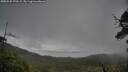 ./images/calvert/fitz-hugh-hecate/20250525/fitz-hugh-hecate20250525_170508M.jpg