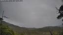 ./images/calvert/fitz-hugh-hecate/20250525/fitz-hugh-hecate20250525_171009M.jpg