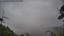 ./images/calvert/fitz-hugh-hecate/20250525/fitz-hugh-hecate20250525_171511M.jpg