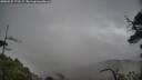 ./images/calvert/fitz-hugh-hecate/20250525/fitz-hugh-hecate20250525_172509M.jpg