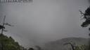 ./images/calvert/fitz-hugh-hecate/20250525/fitz-hugh-hecate20250525_173509M.jpg