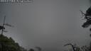 ./images/calvert/fitz-hugh-hecate/20250525/fitz-hugh-hecate20250525_174010M.jpg