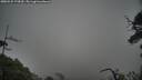 ./images/calvert/fitz-hugh-hecate/20250525/fitz-hugh-hecate20250525_174510M.jpg