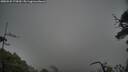./images/calvert/fitz-hugh-hecate/20250525/fitz-hugh-hecate20250525_175010M.jpg