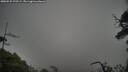 ./images/calvert/fitz-hugh-hecate/20250525/fitz-hugh-hecate20250525_175509M.jpg