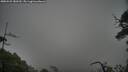 ./images/calvert/fitz-hugh-hecate/20250525/fitz-hugh-hecate20250525_180510M.jpg