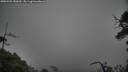 ./images/calvert/fitz-hugh-hecate/20250525/fitz-hugh-hecate20250525_181009M.jpg