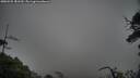 ./images/calvert/fitz-hugh-hecate/20250525/fitz-hugh-hecate20250525_181510M.jpg