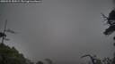 ./images/calvert/fitz-hugh-hecate/20250525/fitz-hugh-hecate20250525_182008M.jpg