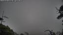 ./images/calvert/fitz-hugh-hecate/20250525/fitz-hugh-hecate20250525_182507M.jpg
