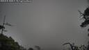 ./images/calvert/fitz-hugh-hecate/20250525/fitz-hugh-hecate20250525_184009M.jpg