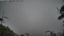 ./images/calvert/fitz-hugh-hecate/20250525/fitz-hugh-hecate20250525_184509M.jpg