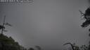 ./images/calvert/fitz-hugh-hecate/20250525/fitz-hugh-hecate20250525_185008M.jpg