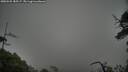 ./images/calvert/fitz-hugh-hecate/20250525/fitz-hugh-hecate20250525_185507M.jpg