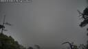 ./images/calvert/fitz-hugh-hecate/20250525/fitz-hugh-hecate20250525_190009M.jpg