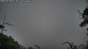 ./images/calvert/fitz-hugh-hecate/20250525/fitz-hugh-hecate20250525_190508M.jpg