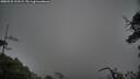 ./images/calvert/fitz-hugh-hecate/20250525/fitz-hugh-hecate20250525_191009M.jpg