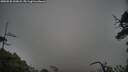 ./images/calvert/fitz-hugh-hecate/20250525/fitz-hugh-hecate20250525_192009M.jpg