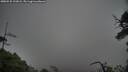 ./images/calvert/fitz-hugh-hecate/20250525/fitz-hugh-hecate20250525_193008M.jpg