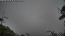 ./images/calvert/fitz-hugh-hecate/20250525/fitz-hugh-hecate20250525_193507M.jpg