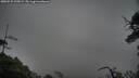 ./images/calvert/fitz-hugh-hecate/20250525/fitz-hugh-hecate20250525_195009M.jpg