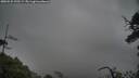 ./images/calvert/fitz-hugh-hecate/20250525/fitz-hugh-hecate20250525_195508M.jpg