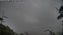 ./images/calvert/fitz-hugh-hecate/20250525/fitz-hugh-hecate20250525_200006M.jpg