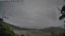 ./images/calvert/fitz-hugh-hecate/20250525/fitz-hugh-hecate20250525_201009M.jpg