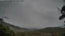 ./images/calvert/fitz-hugh-hecate/20250525/fitz-hugh-hecate20250525_201507M.jpg