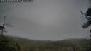 ./images/calvert/fitz-hugh-hecate/20250525/fitz-hugh-hecate20250525_202009M.jpg