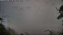 ./images/calvert/fitz-hugh-hecate/20250525/fitz-hugh-hecate20250525_203009M.jpg
