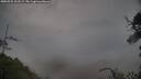 ./images/calvert/fitz-hugh-hecate/20250525/fitz-hugh-hecate20250525_203508M.jpg