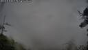 ./images/calvert/fitz-hugh-hecate/20250525/fitz-hugh-hecate20250525_204008M.jpg