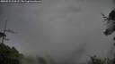 ./images/calvert/fitz-hugh-hecate/20250525/fitz-hugh-hecate20250525_204508M.jpg