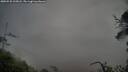 ./images/calvert/fitz-hugh-hecate/20250525/fitz-hugh-hecate20250525_205008M.jpg