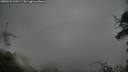 ./images/calvert/fitz-hugh-hecate/20250525/fitz-hugh-hecate20250525_205508M.jpg