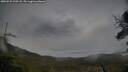 ./images/calvert/fitz-hugh-hecate/20250525/fitz-hugh-hecate20250525_210508M.jpg
