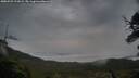 ./images/calvert/fitz-hugh-hecate/20250525/fitz-hugh-hecate20250525_211009M.jpg