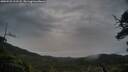 ./images/calvert/fitz-hugh-hecate/20250525/fitz-hugh-hecate20250525_211508M.jpg