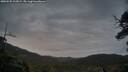 ./images/calvert/fitz-hugh-hecate/20250525/fitz-hugh-hecate20250525_212008M.jpg