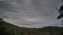 ./images/calvert/fitz-hugh-hecate/20250525/fitz-hugh-hecate20250525_212508M.jpg