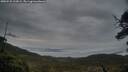 ./images/calvert/fitz-hugh-hecate/20250525/fitz-hugh-hecate20250525_213009M.jpg