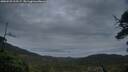 ./images/calvert/fitz-hugh-hecate/20250525/fitz-hugh-hecate20250525_213507M.jpg