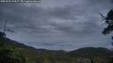 ./images/calvert/fitz-hugh-hecate/20250525/fitz-hugh-hecate20250525_214007M.jpg