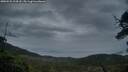 ./images/calvert/fitz-hugh-hecate/20250525/fitz-hugh-hecate20250525_214508M.jpg
