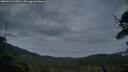 ./images/calvert/fitz-hugh-hecate/20250525/fitz-hugh-hecate20250525_215008M.jpg