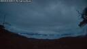 ./images/calvert/fitz-hugh-hecate/20250526/fitz-hugh-hecate20250526_045009M.jpg