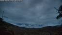 ./images/calvert/fitz-hugh-hecate/20250526/fitz-hugh-hecate20250526_045508M.jpg