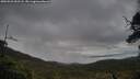 ./images/calvert/fitz-hugh-hecate/20250526/fitz-hugh-hecate20250526_052508M.jpg